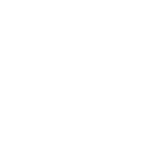 vue icon
